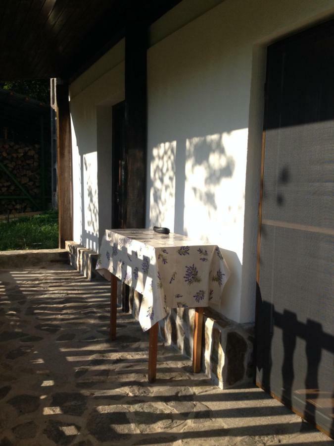 Casa Toma Villa Avrig Exterior photo